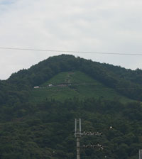 IMG_0003.jpg