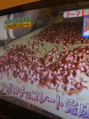 画像 アポロ.jpg